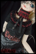 Punk Cat